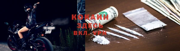 молекула духа Арсеньев