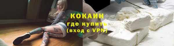 соль ск Алзамай